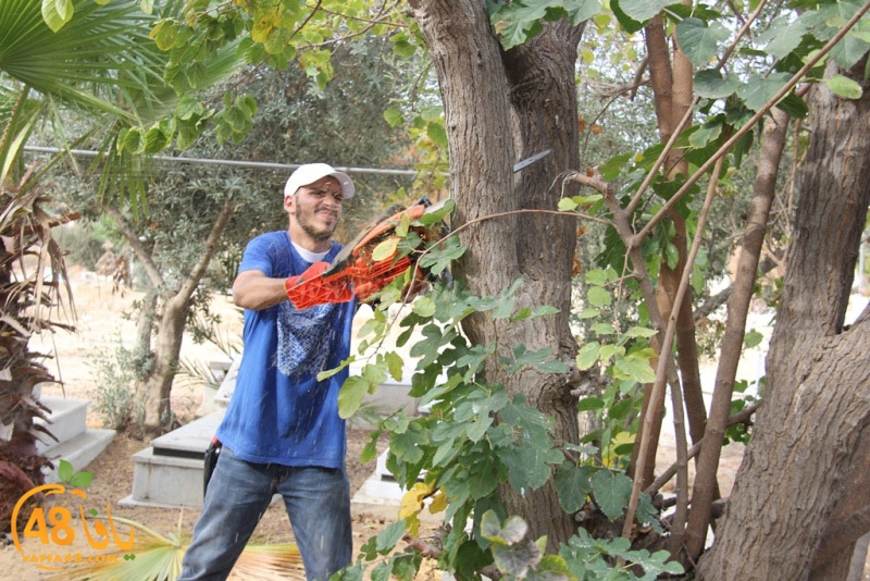 tasoooi3i1412 (47).JPG